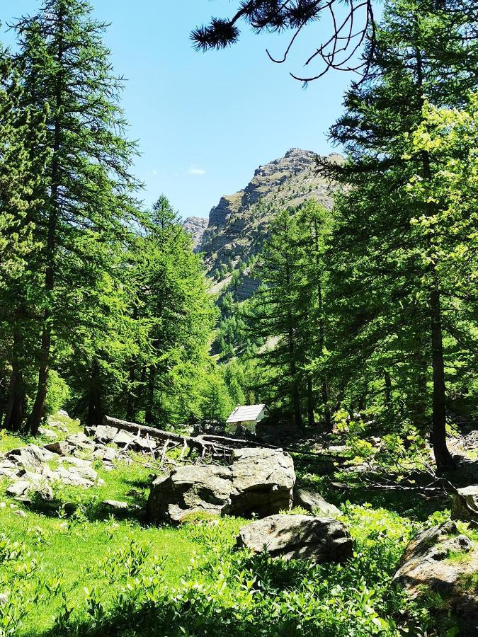 Les Marmottes D Estenc Exterior foto